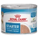 Royal Canin Starter Mother & Babydog Ultra Soft Mousse